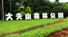 大夫山森林公园